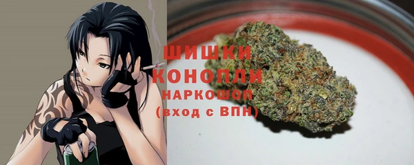трава Иннополис